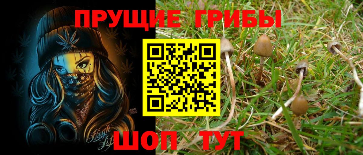 Псилоцибиновые грибы мухоморы Каменск-Уральский